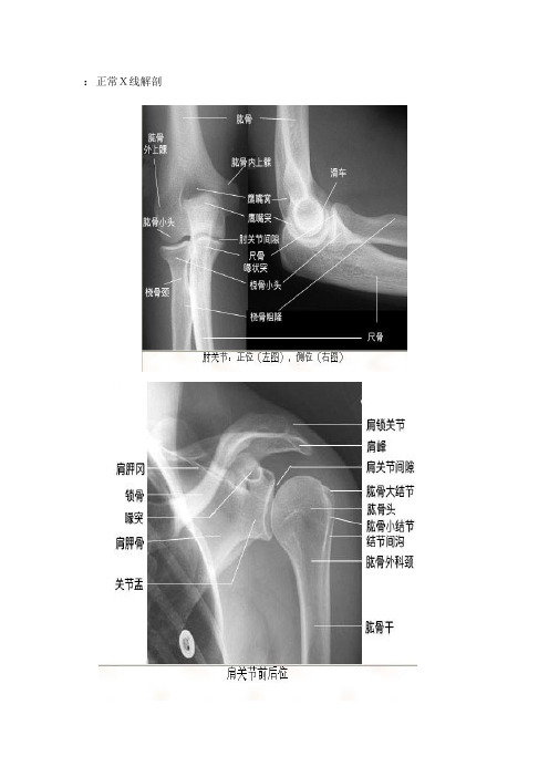 全身各个部位及关节的正常x线解剖