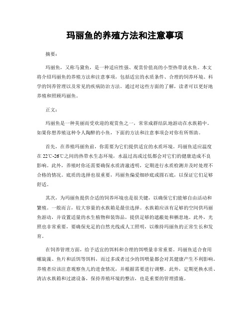 玛丽鱼的养殖方法和注意事项