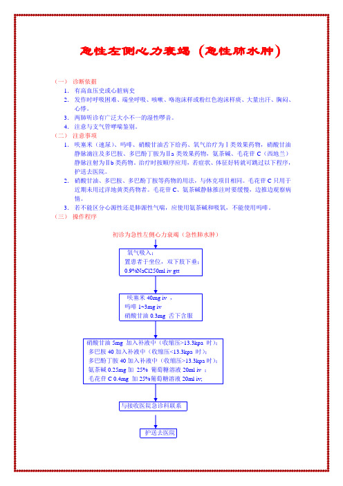 急性左侧心力衰竭(急性肺水肿)