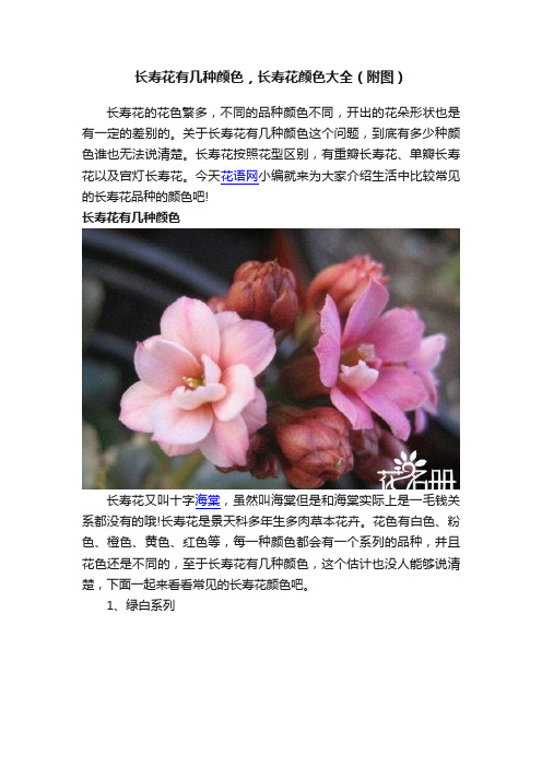 长寿花有几种颜色，长寿花颜色大全（附图）