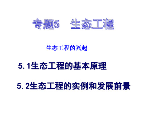 高中生物(新人教版)选修三：专题5《生态工程》：5.1《生态工程的基本原理》课件(新人教版选修3)