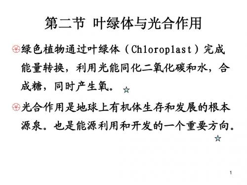 第六章 细胞的能量转换-线粒体和叶绿体(2)