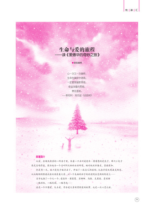 生命与爱的旅程——读《爱德华的奇妙之旅》