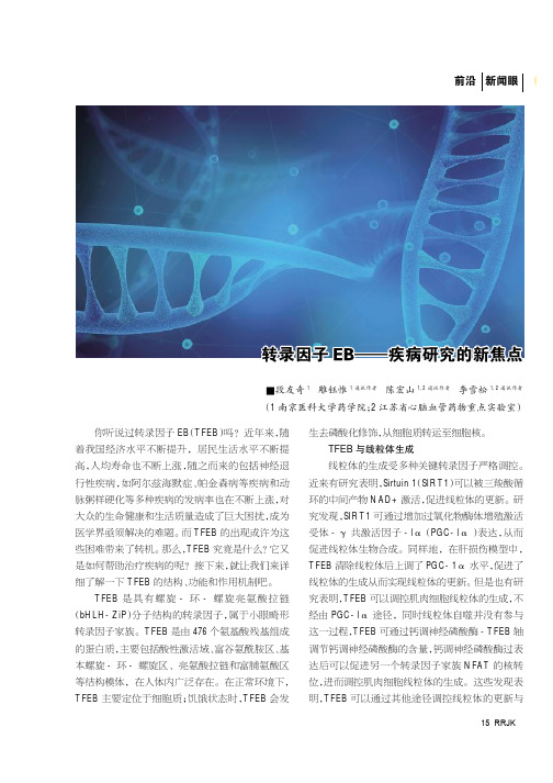 转录因子EB——疾病研究的新焦点