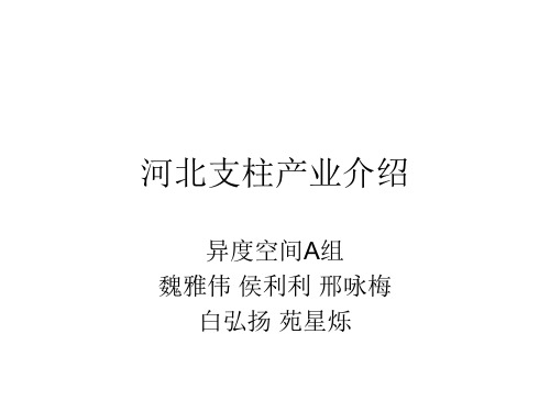 河北支柱产业介绍