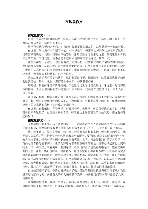 在这里作文