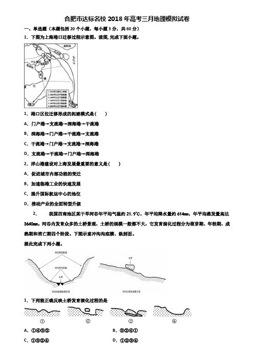 合肥市达标名校2018年高考三月地理模拟试卷含解析