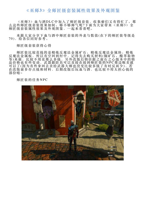 《巫师3》全师匠级套装属性效果及外观图鉴