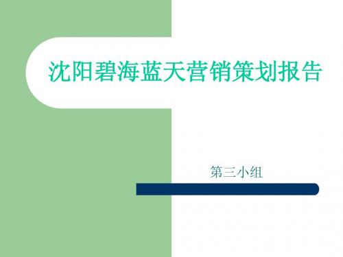 沈阳碧海蓝天营销策划报告