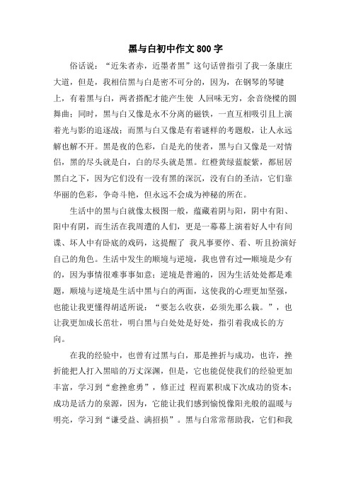 黑与白初中作文800字