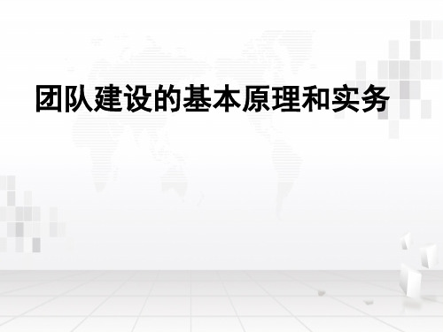 团队建设的基本原理和实务