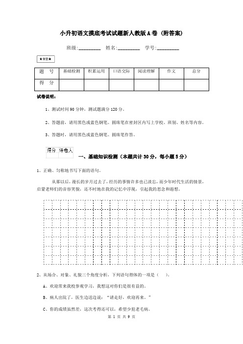 小升初语文摸底考试试题新人教版A卷 (附答案)