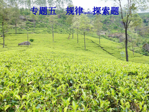 中考数学总复习专题5规律探索题