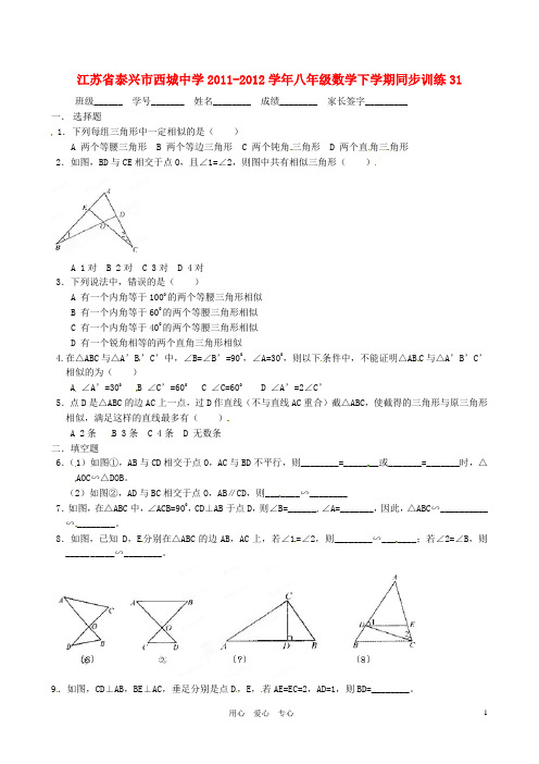 江苏省泰兴市西城中学八年级数学下学期同步训练31(无答案)