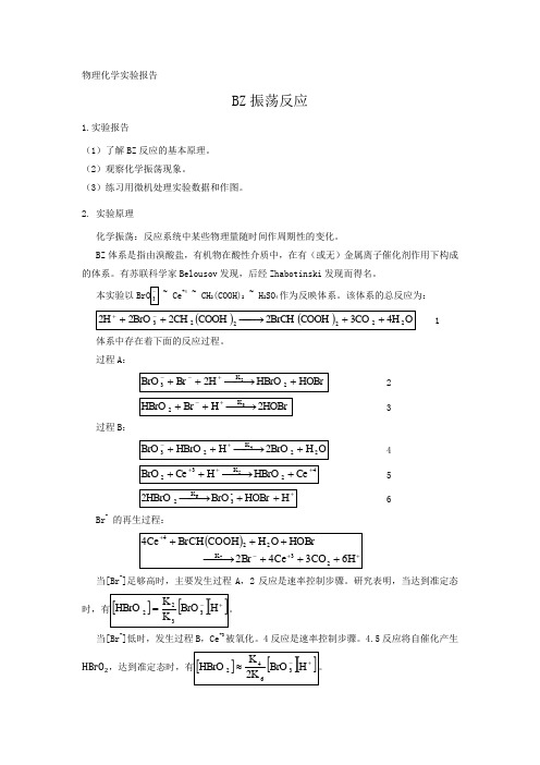 物理化学实验报告-BZ振荡反应