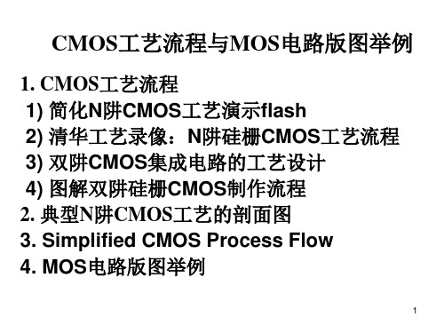 CMOS工艺流程.版图.剖面PPT幻灯片课件