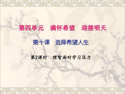 九年级政治全册第四单元满怀希望迎接明天第十课选择希望人生第二框理智面对学习压力课件新人教版