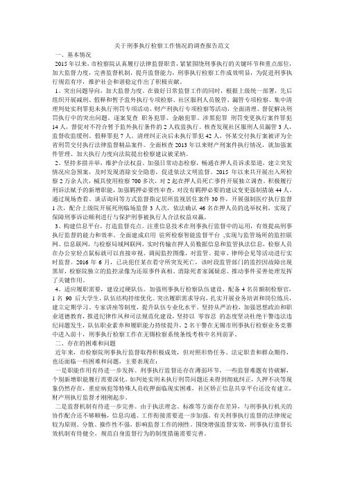 关于刑事执行检察工作情况的调查报告范文