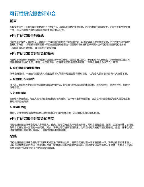 可行性研究报告评审会