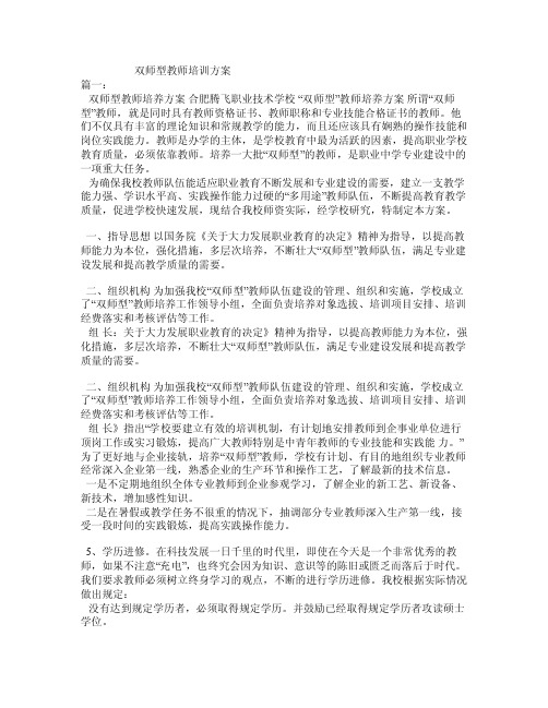 双师型教师培训方案