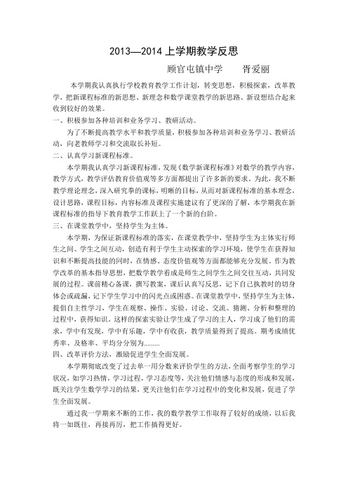 2013年数学教师反思