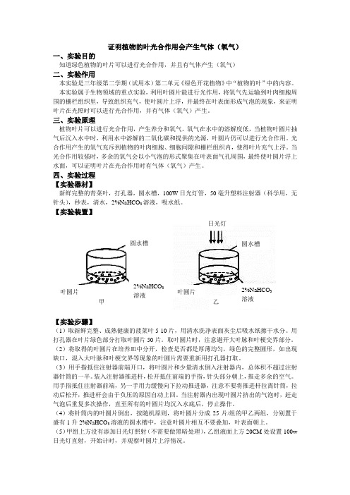 v613-2证明植物的光合作用会产生气体(氧气)