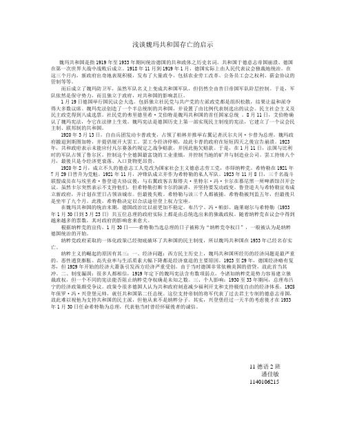 浅谈魏玛共和国存亡的启示