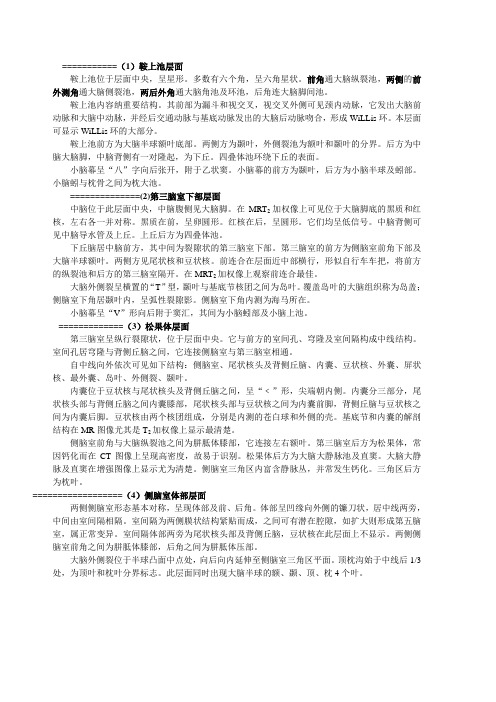 医学影像解剖学断层解剖 (主要层面)