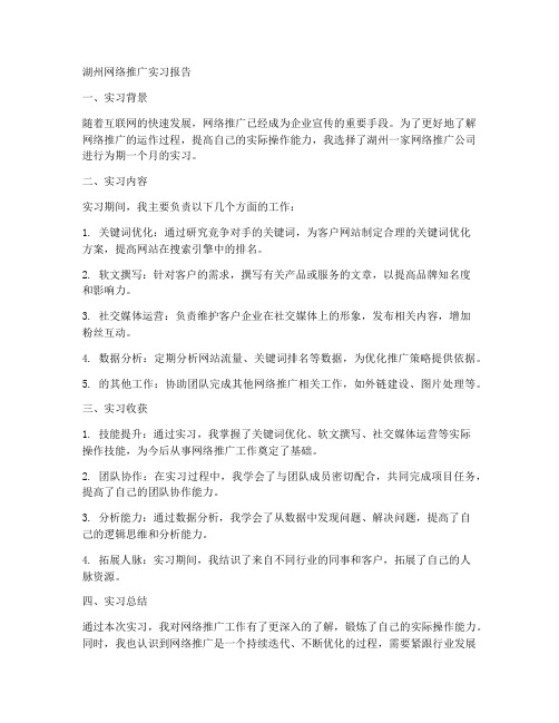 湖州网络推广实习报告