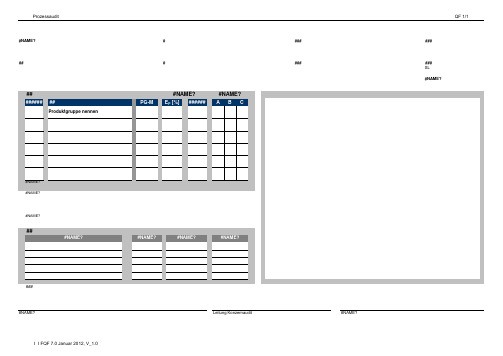 Formel Q过程审核最新版