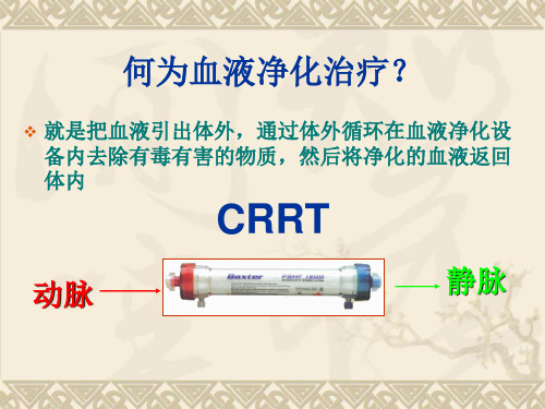 crrt的相关知识及护理-PPT文档-精选文档