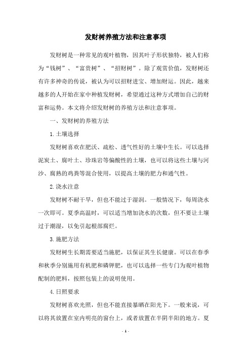 发财树养殖方法和注意事项