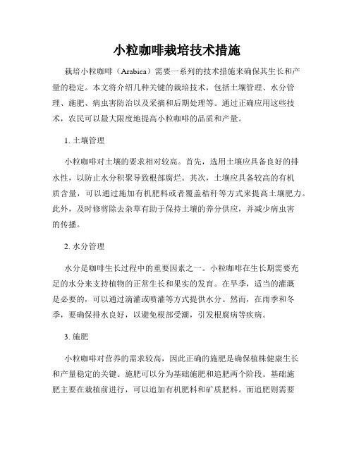 小粒咖啡栽培技术措施