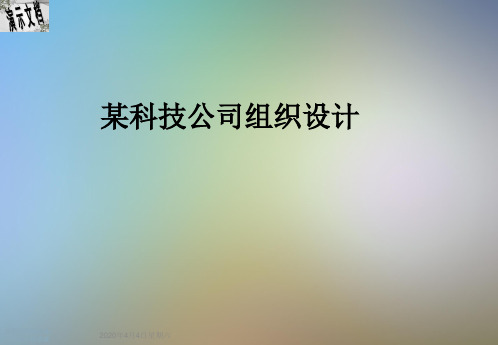 某科技公司组织设计