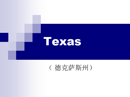 Texas德克萨斯州 优质课件