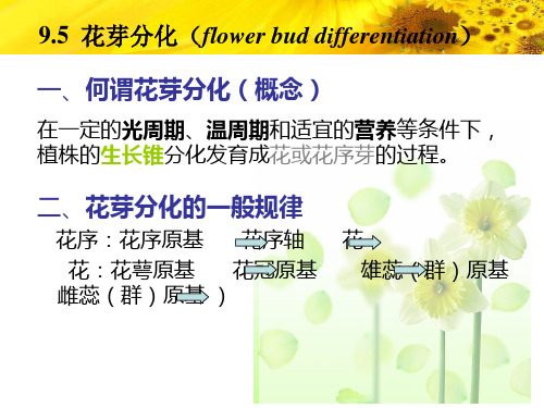 9.5 花芽分化