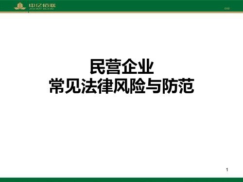 民营企业常见法律风险及防范PPT课件