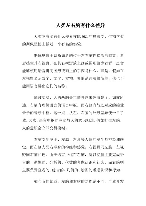 人类左右脑有什么差异