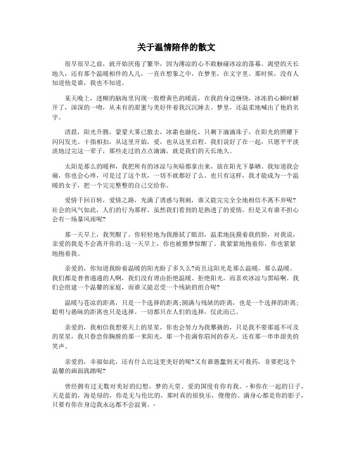 关于温情陪伴的散文