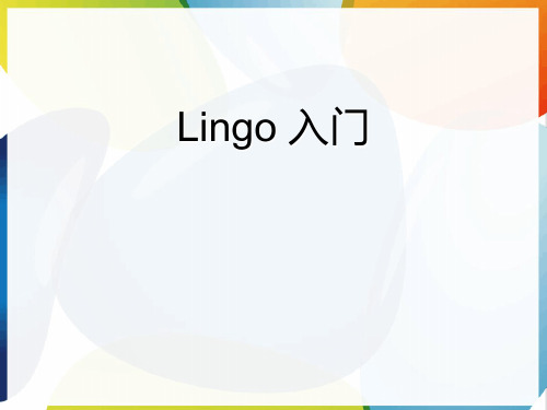 怎样使用LINGO软件