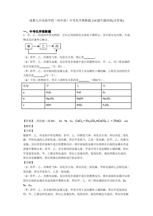 成都七中实验学校(初中部)中考化学推断题114题专题训练(含答案)