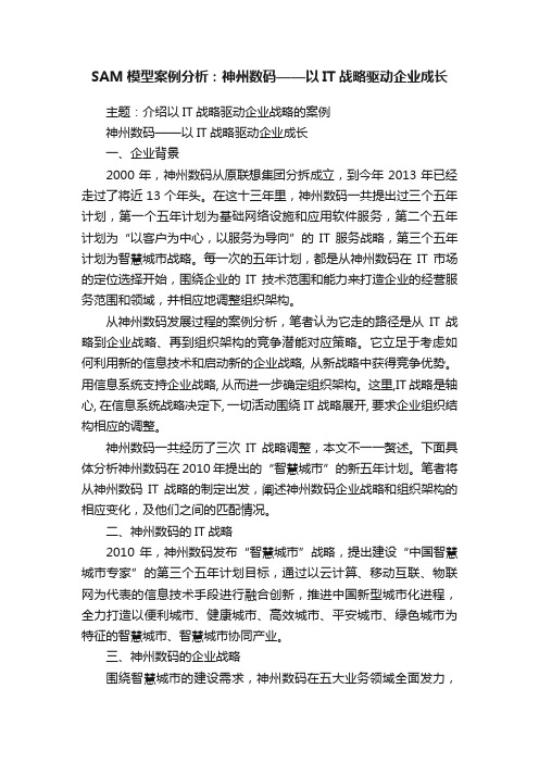 SAM模型案例分析：神州数码——以IT战略驱动企业成长