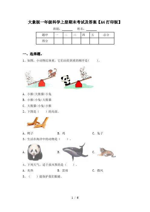 大象版一年级科学上册期末考试及答案【A4打印版】