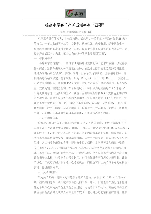 提高小尾寒羊产羔成活率有“四要”