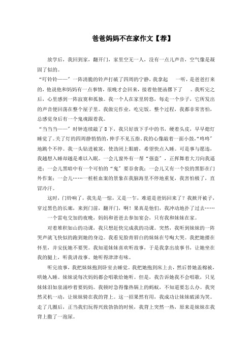 爸爸妈妈不在家作文(2)精选