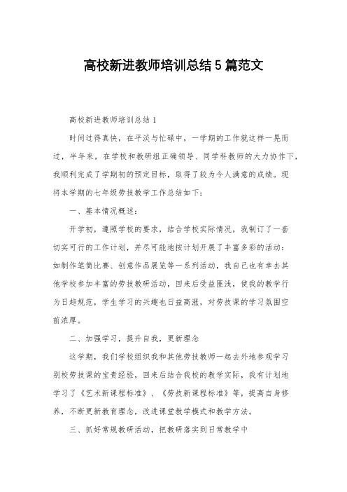 高校新进教师培训总结5篇范文