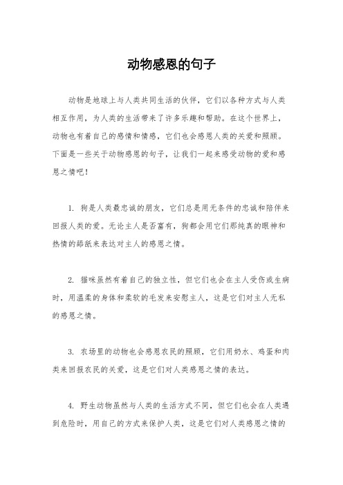 动物感恩的句子