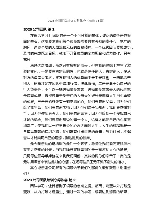 2023公司团队培训心得体会（精选13篇）