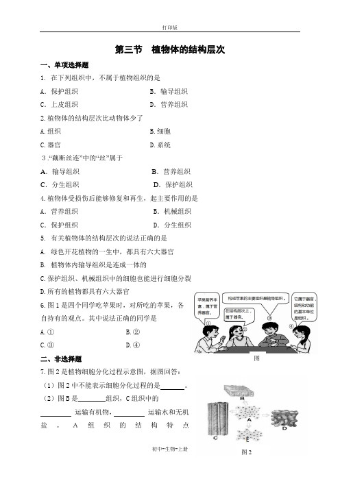 人教版生物-七年级上册-2.2.3 植物体的结构层次 习题