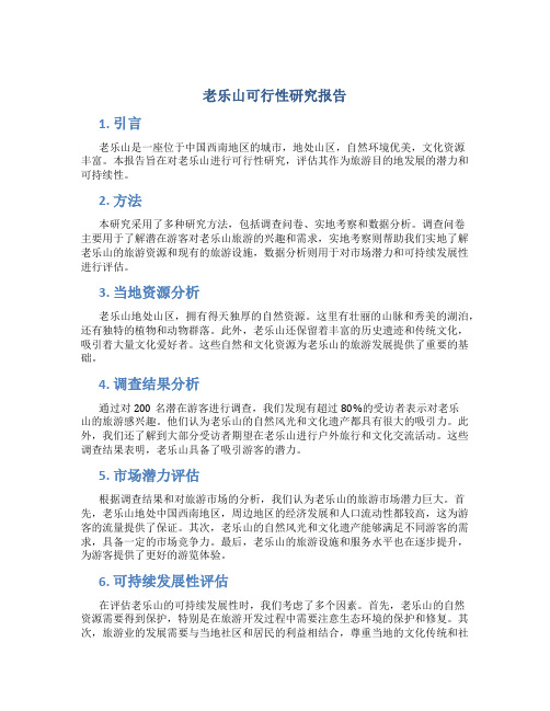 老乐山可行性研究报告